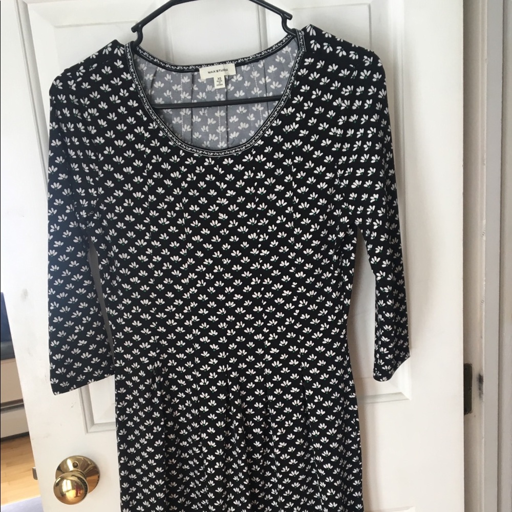 Max studio dress